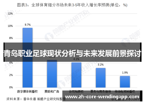 青岛职业足球现状分析与未来发展前景探讨