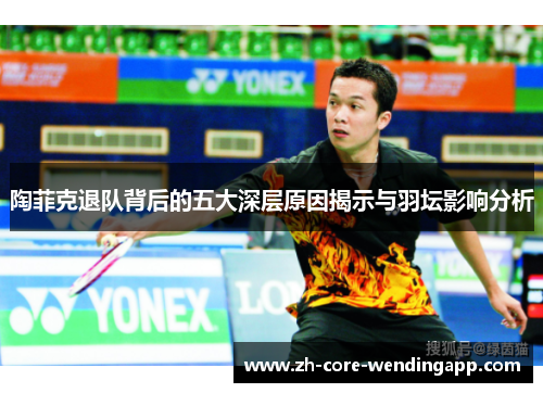 陶菲克退队背后的五大深层原因揭示与羽坛影响分析