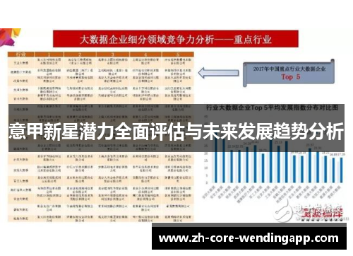 意甲新星潜力全面评估与未来发展趋势分析
