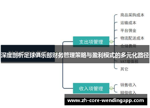 深度剖析足球俱乐部财务管理策略与盈利模式的多元化路径