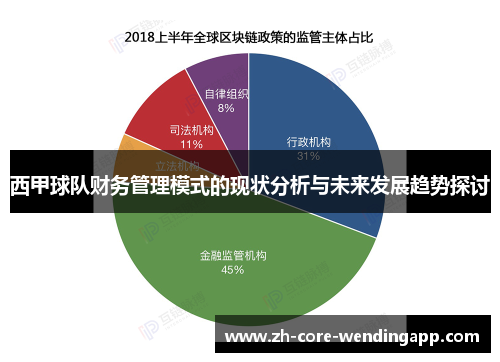 西甲球队财务管理模式的现状分析与未来发展趋势探讨