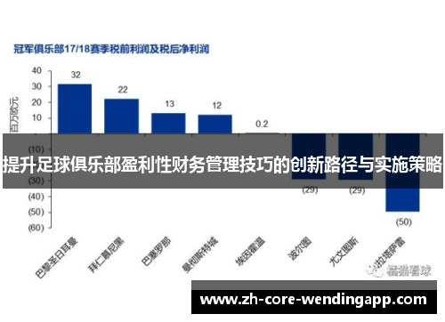 提升足球俱乐部盈利性财务管理技巧的创新路径与实施策略 提升足球俱乐部盈利性财务管理技巧的创新路径与实施策略