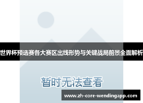 世界杯预选赛各大赛区出线形势与关键战局前景全面解析