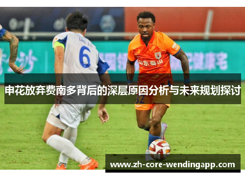 申花放弃费南多背后的深层原因分析与未来规划探讨